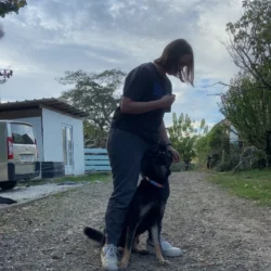 20231018_182102_IMG_4562-4