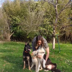 VideoCapture_20240316-170403 (1)