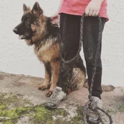 received_1313060798864402-2